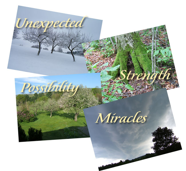 Your Four Pictorial Muse Images