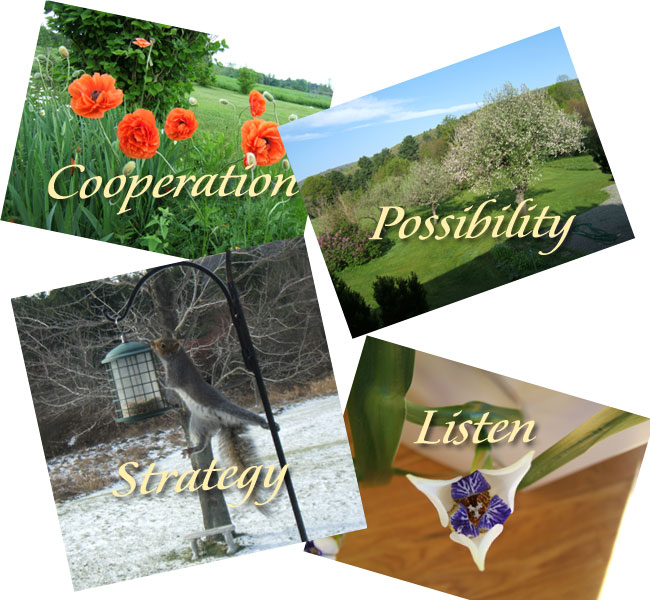 Your Four Pictorial Muse Images