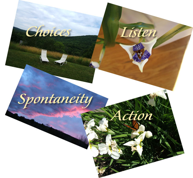 Your Four Pictorial Muse Images
