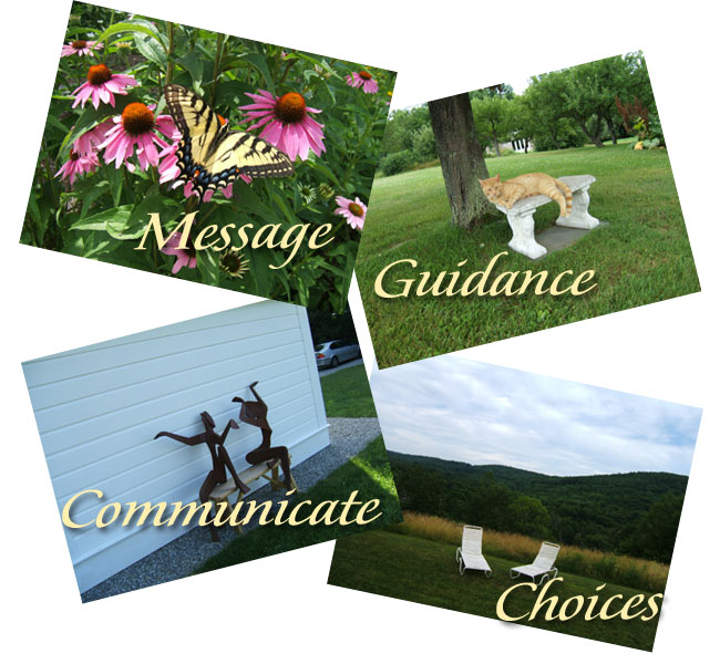 Your Four Pictorial Muse Images
