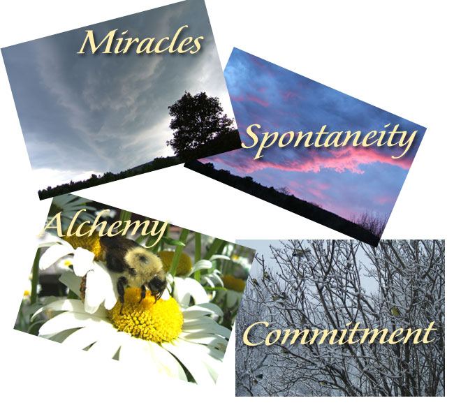 Your Four Pictorial Muse Images