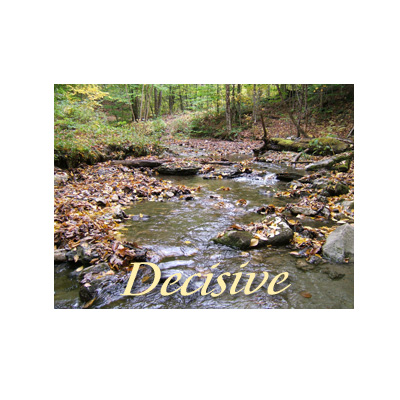 Daily Pictorial Muse Image