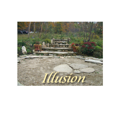 Daily Pictorial Muse Image