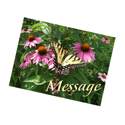 Daily Pictorial Muse Image