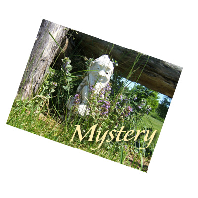Daily Pictorial Muse Image
