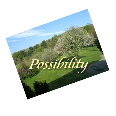 Daily Pictorial Muse Image