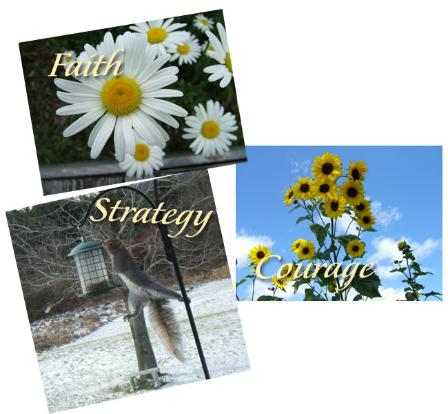 Your Three Pictorial Muse Images