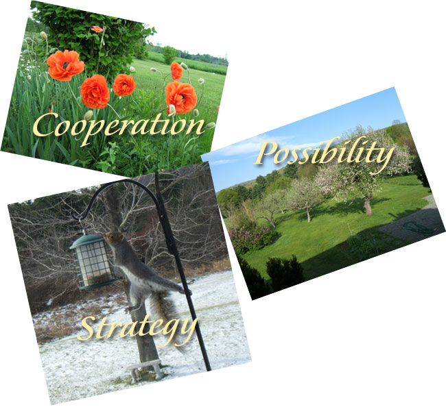 Your Three Pictorial Muse Images