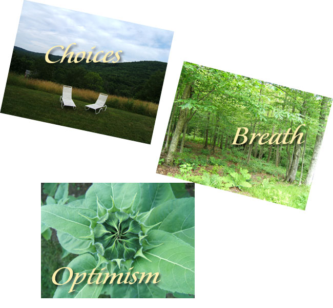 Your Three Pictorial Muse Images