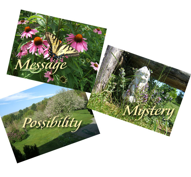 Your Three Pictorial Muse Images